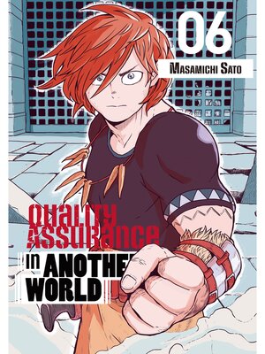 Quality Assurance in Another World, Volume 6 - ebook